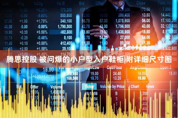 腾思控股 被问爆的小户型入户鞋柜|附详细尺寸图